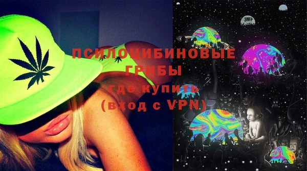 дмт Аркадак