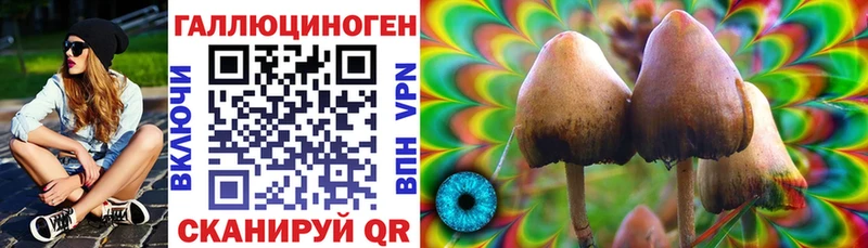 Купить где  Саяногорск  Галлюциногенные грибы MAGIC MUSHROOMS 